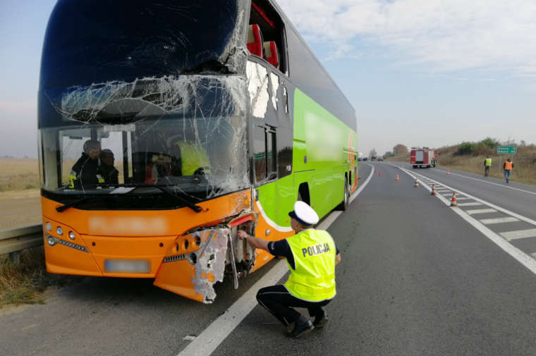 Kierowca autokaru Flixbus doprowadził do wypadku pod Świeciem. Fot. Policja