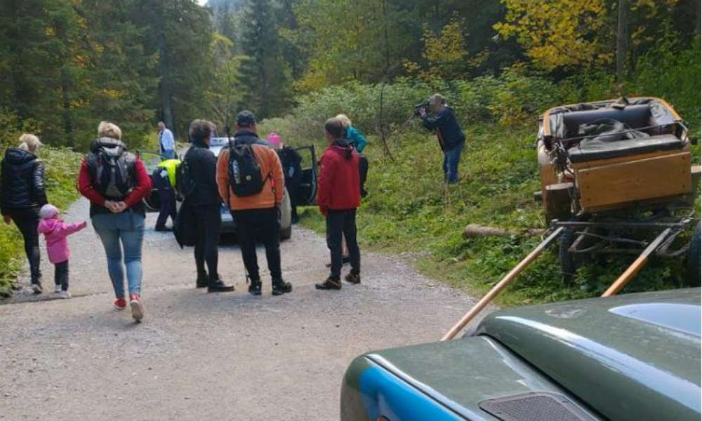 Pijany woźnica spowodował wypadek w Dolinie Kościeliskiej. Fot. Policja