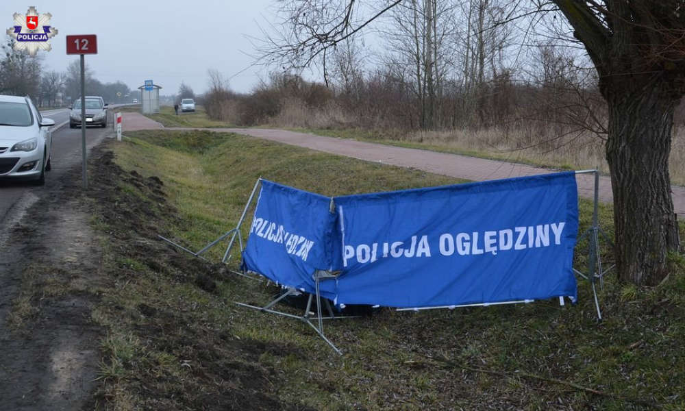 Ciało pieszej znaleziono przy drodze w Brzeźnie. Fot. Policja