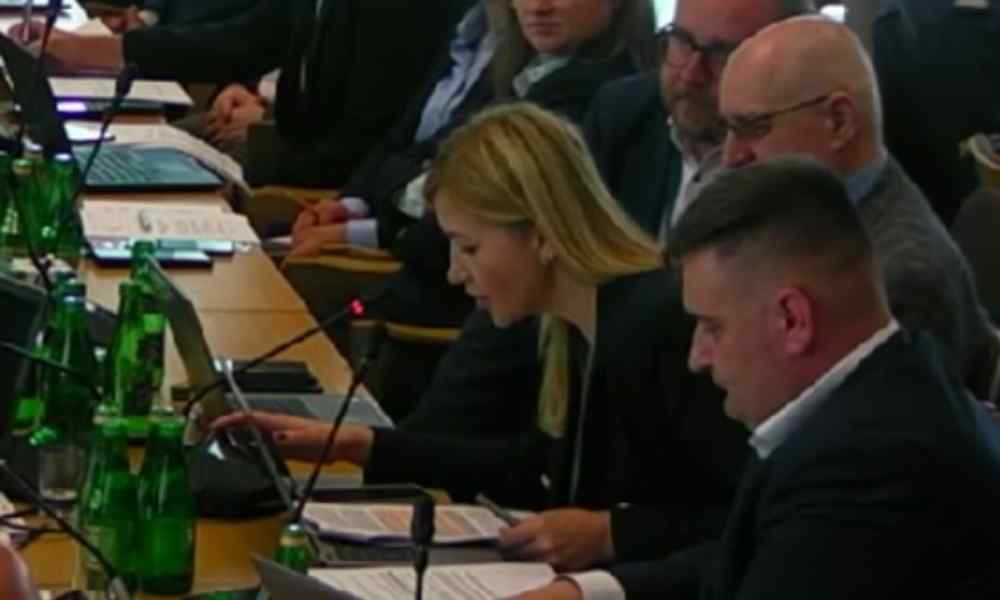 Zawiłości wyjątku w zakazie wyprzedzania ciężarówek podczas Komisji Infrastruktury w Sejmie tłumaczyła Danuta Rychter, dyrektor Departamentu Transportu Drogowego w Ministerstwie Infrastruktury Źródło: Sejm