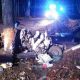 22-letni kierowca zginął w sylwestra rozbijając się BMW na drzewie pod Olsztynem. Fot. Policja