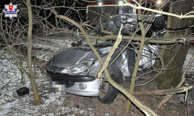 Śmiertelny wypadek w miejscowości Huta Dąbrowa. Fot. Policja