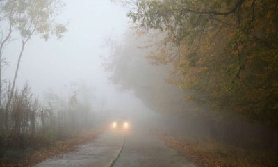 Samochód na drodze we mgle. Fot. Pixabay/CC0