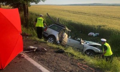 Śmiertelny wypadek w Borczu spowodował kierowca, który zasnął za kierownicą Fot. Policja